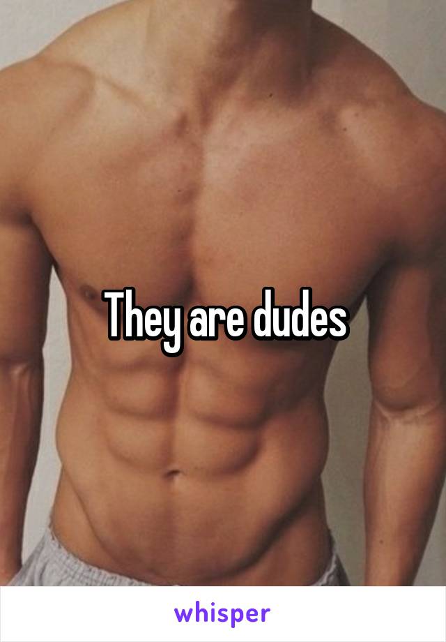 They are dudes