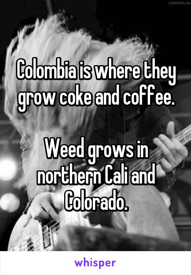 Colombia is where they grow coke and coffee.

Weed grows in northern Cali and Colorado.