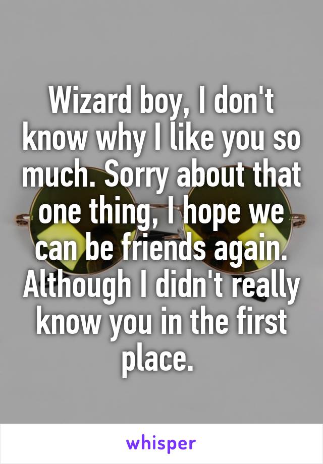 Wizard boy, I don't know why I like you so much. Sorry about that one thing, I hope we can be friends again. Although I didn't really know you in the first place. 