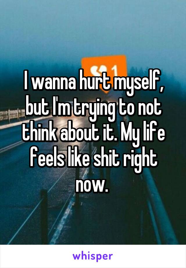 I wanna hurt myself, but I'm trying to not think about it. My life feels like shit right now. 