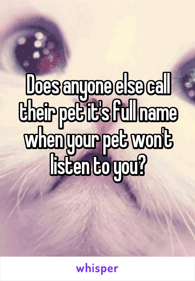 Does anyone else call their pet it's full name when your pet won't listen to you?
