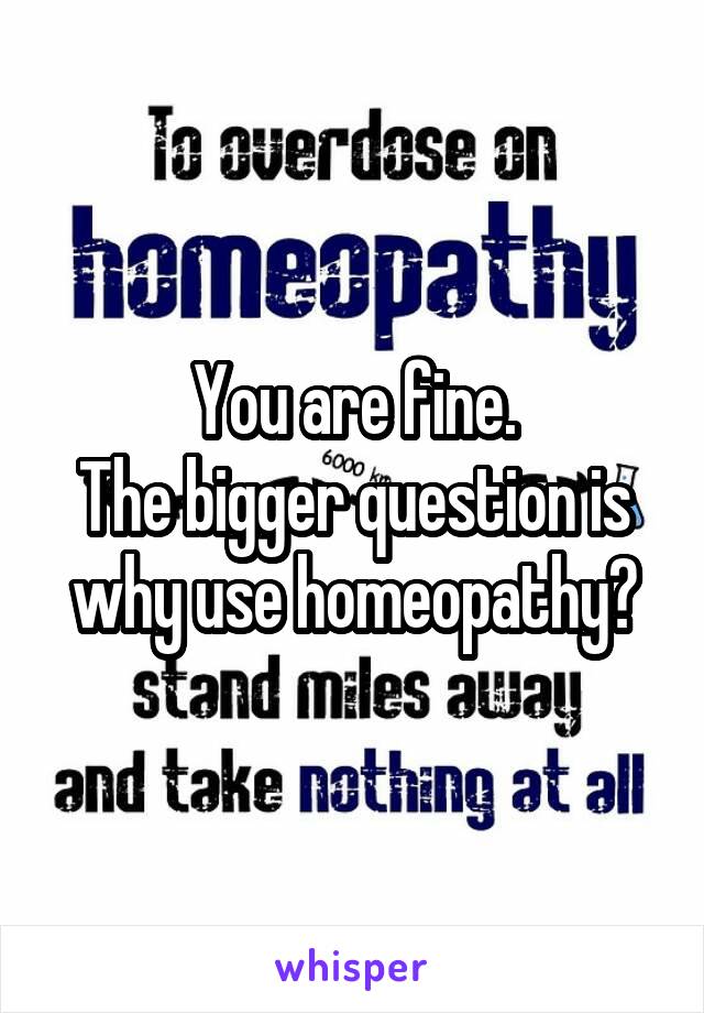 You are fine.
The bigger question is why use homeopathy?