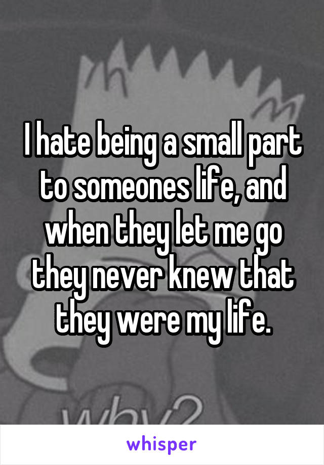 I hate being a small part to someones life, and when they let me go they never knew that they were my life.