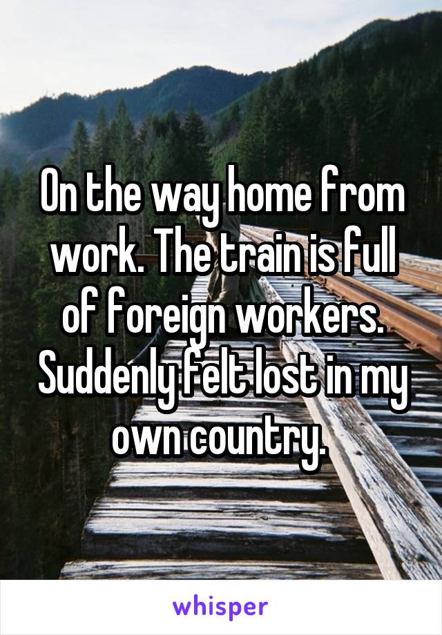 On the way home from work. The train is full of foreign workers. Suddenly felt lost in my own country. 