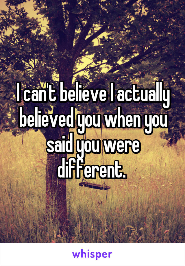 I can't believe I actually believed you when you said you were different. 