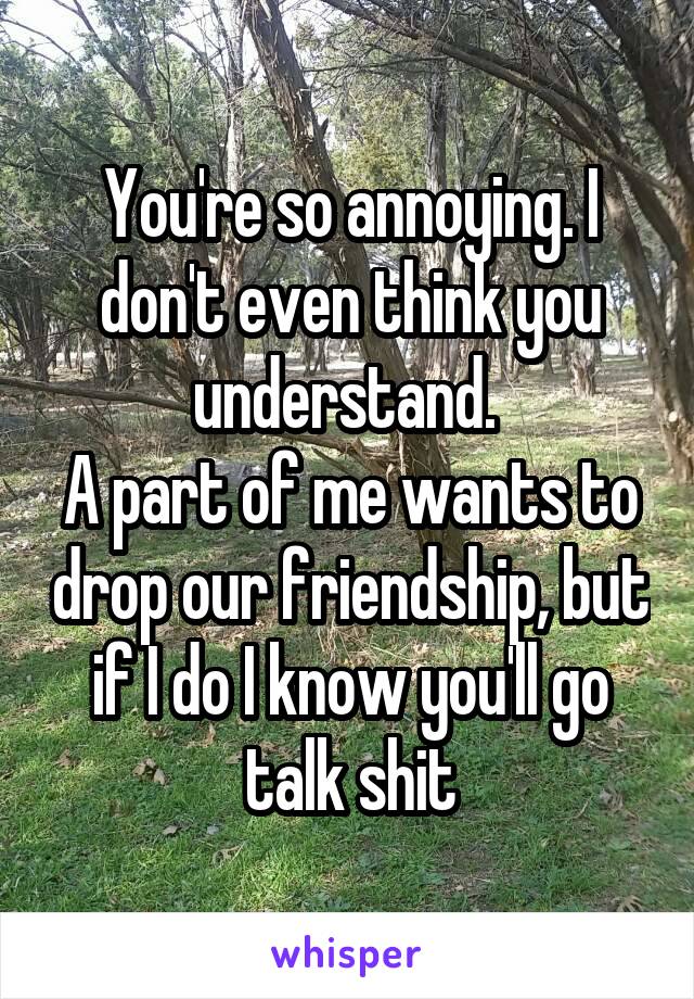 You're so annoying. I don't even think you understand. 
A part of me wants to drop our friendship, but if I do I know you'll go talk shit