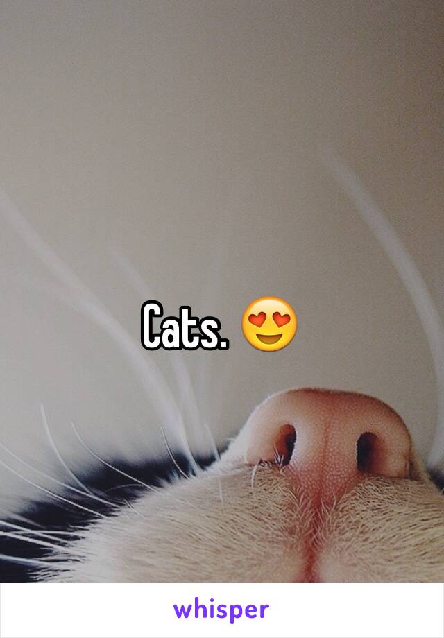 Cats. 😍