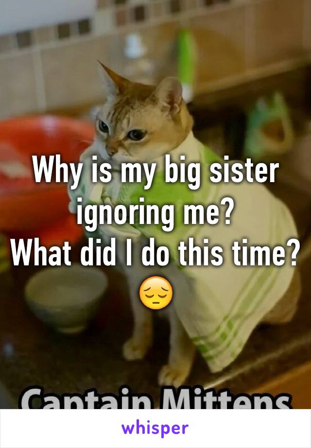 Why is my big sister ignoring me?
What did I do this time?😔