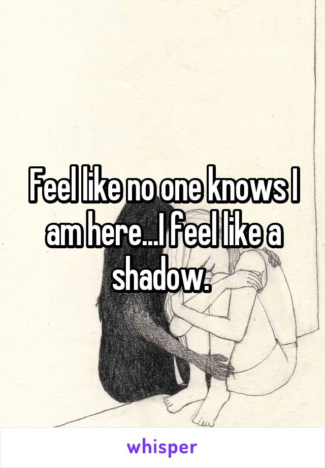 Feel like no one knows I am here...I feel like a shadow. 