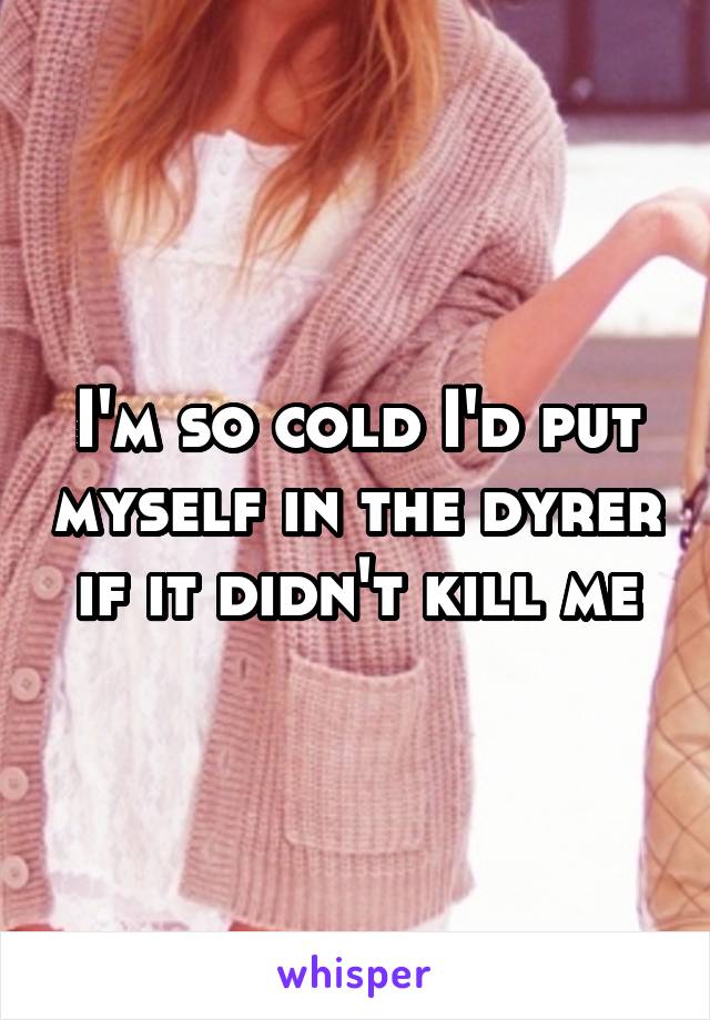 I'm so cold I'd put myself in the dyrer if it didn't kill me