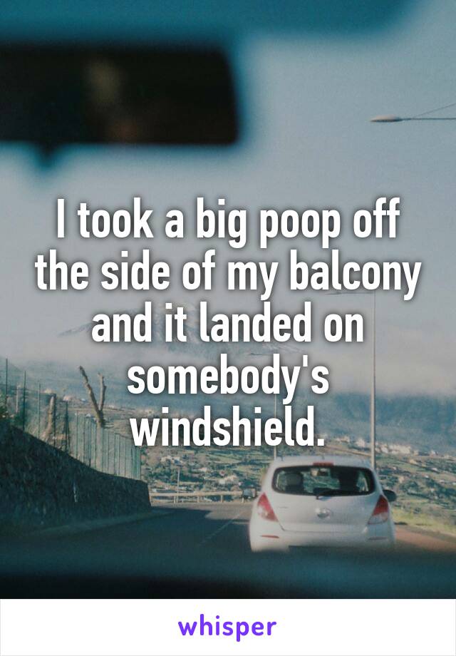 I took a big poop off the side of my balcony and it landed on somebody's windshield.