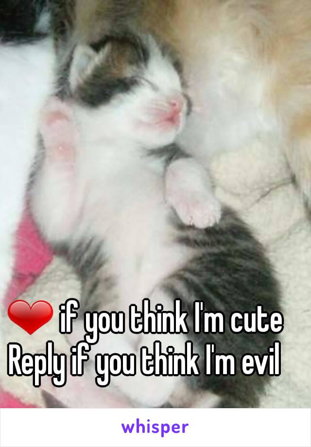 ❤ if you think I'm cute
Reply if you think I'm evil