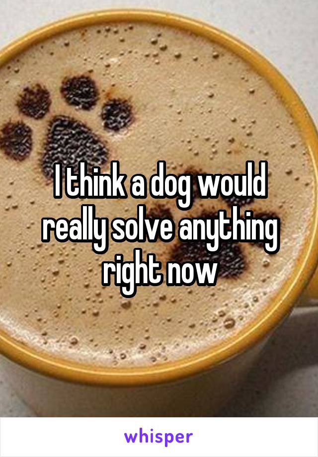 I think a dog would really solve anything right now