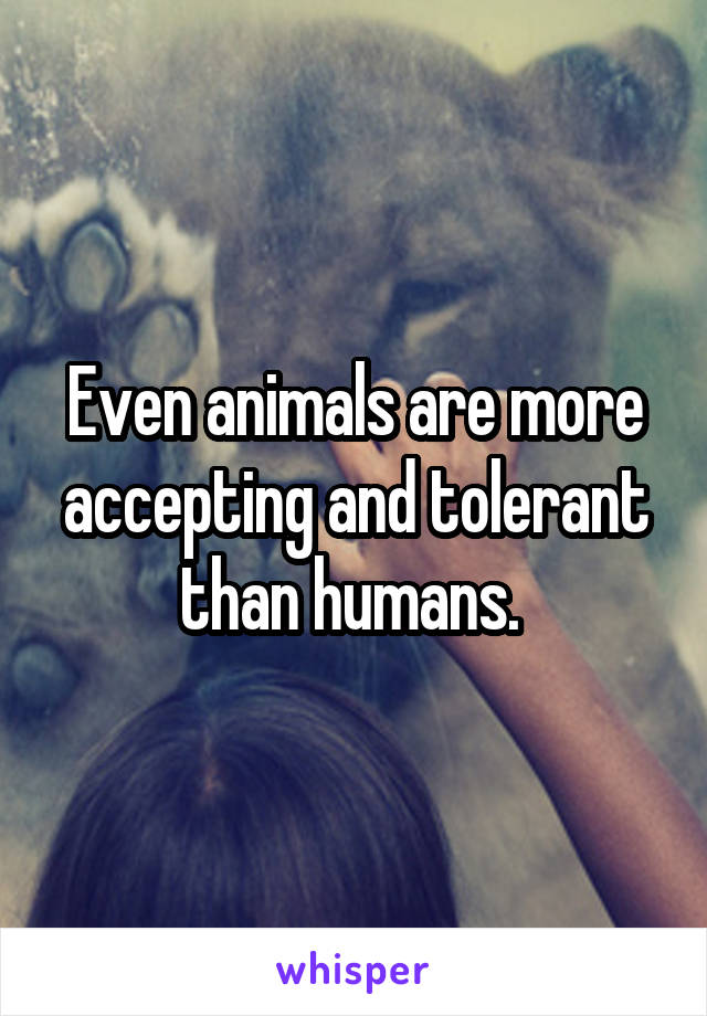 Even animals are more accepting and tolerant than humans. 