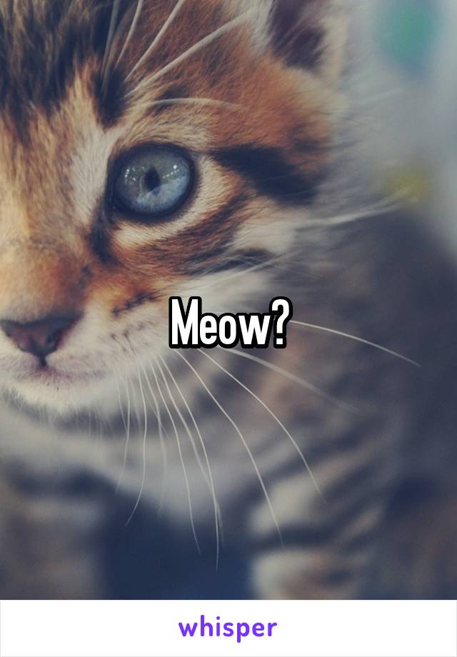 Meow?