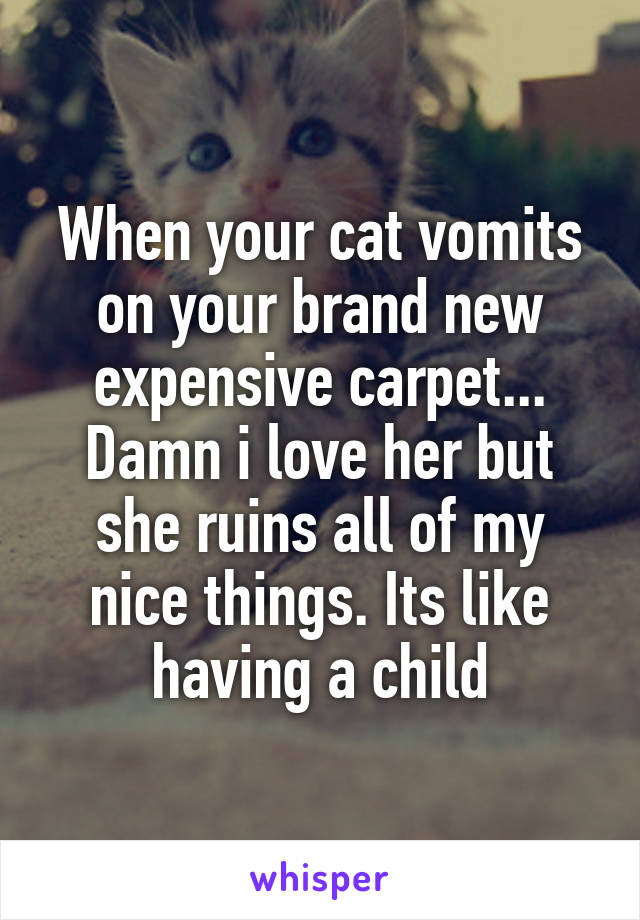 When your cat vomits on your brand new expensive carpet... Damn i love her but she ruins all of my nice things. Its like having a child