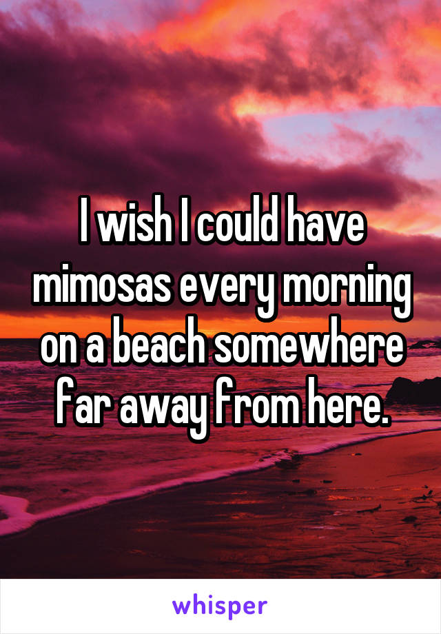 I wish I could have mimosas every morning on a beach somewhere far away from here.