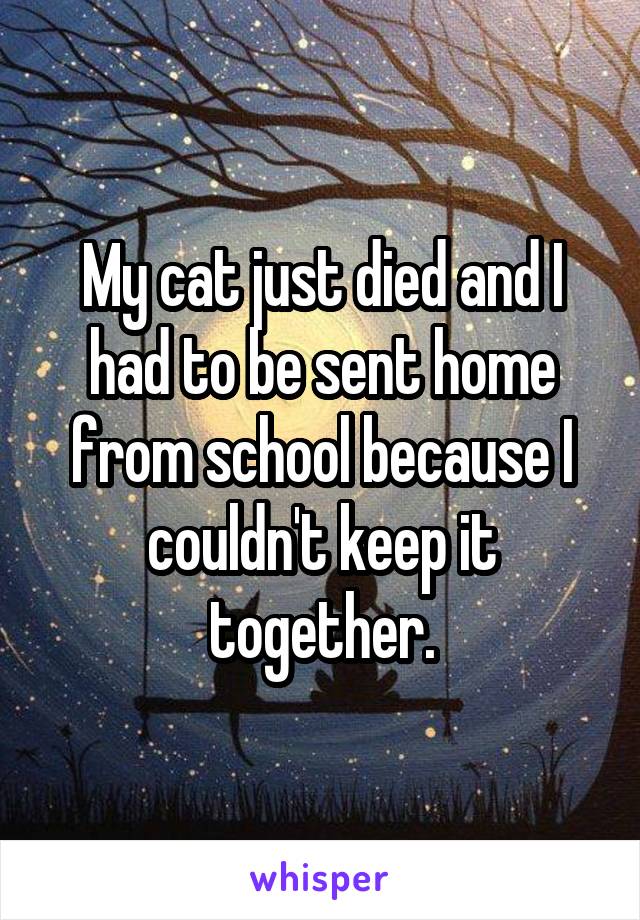 My cat just died and I had to be sent home from school because I couldn't keep it together.