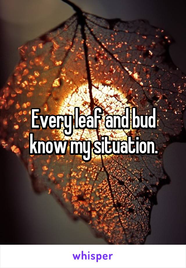 Every leaf and bud know my situation.