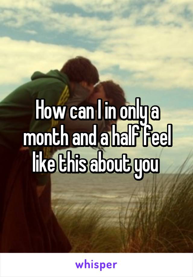 How can I in only a month and a half feel like this about you 