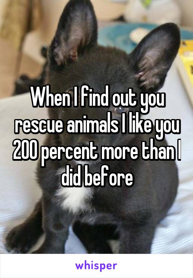 When I find out you rescue animals I like you 200 percent more than I did before