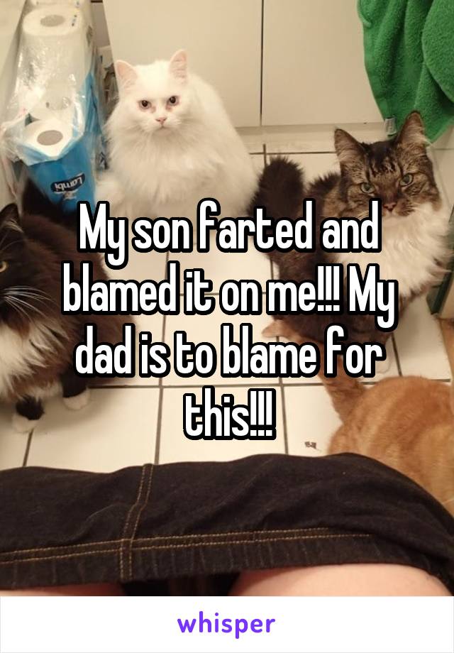 My son farted and blamed it on me!!! My dad is to blame for this!!!