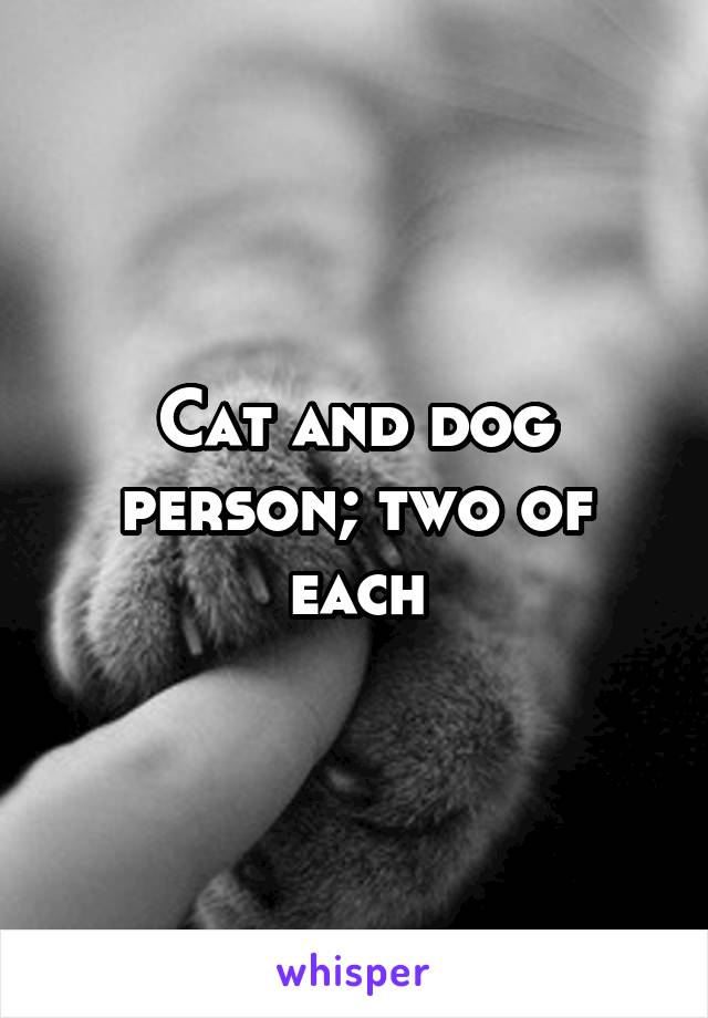 Cat and dog person; two of each