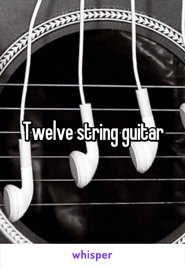 Twelve string guitar