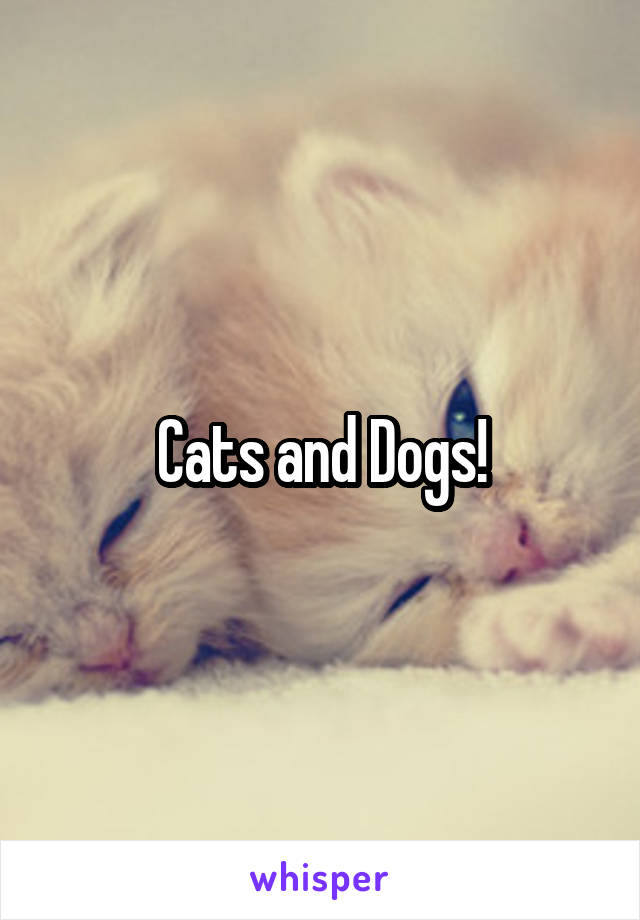 Cats and Dogs!