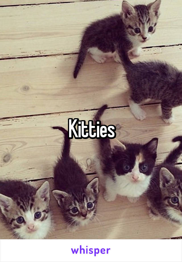 Kitties