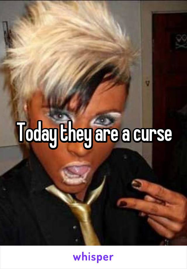 Today they are a curse