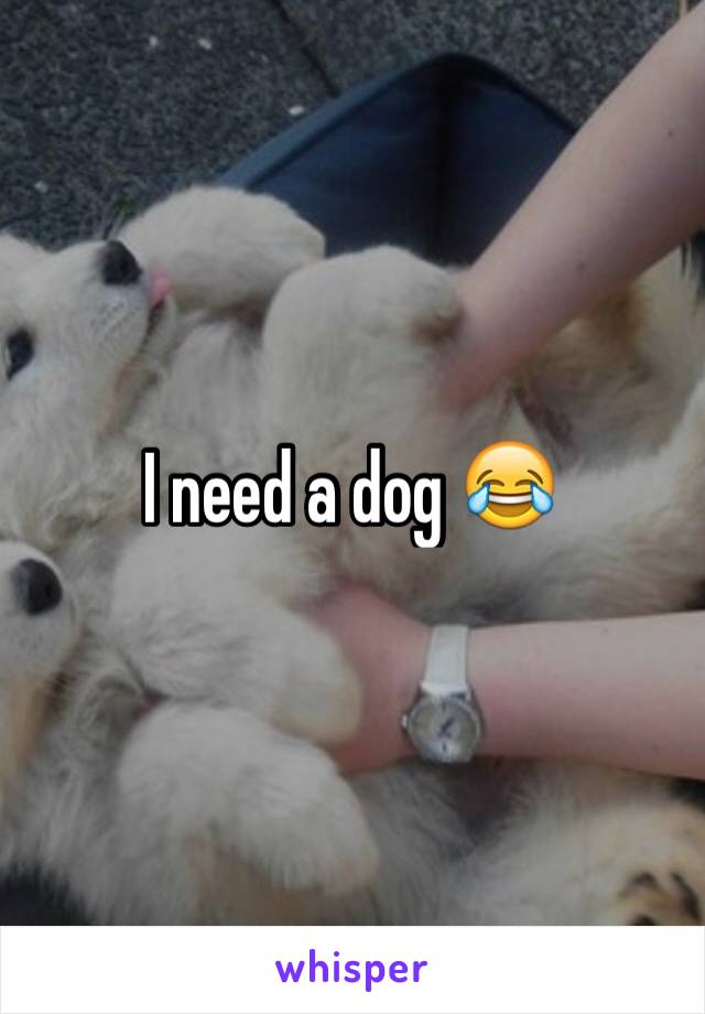 I need a dog 😂