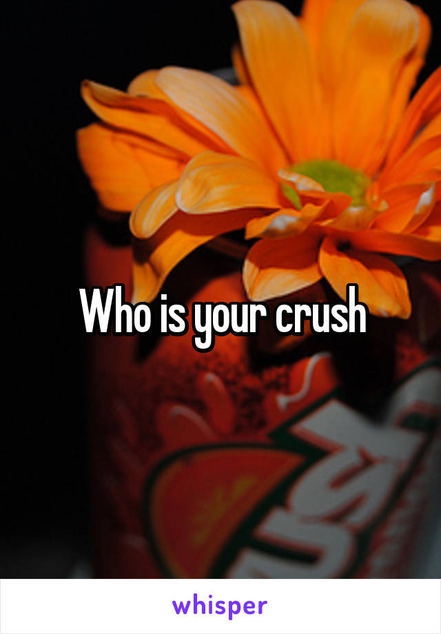 Who is your crush