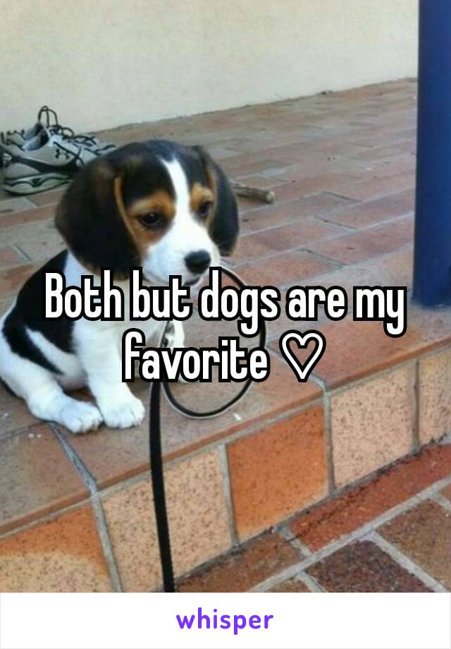 Both but dogs are my favorite ♡