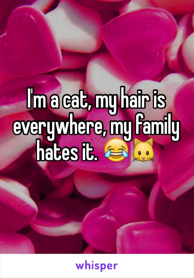 I'm a cat, my hair is everywhere, my family hates it. 😂🐱