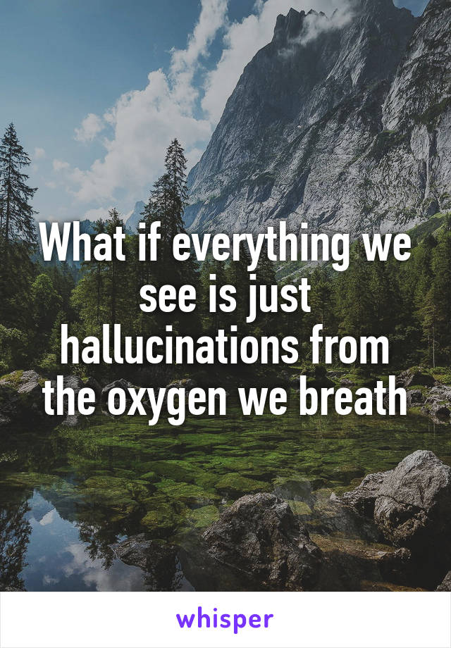 What if everything we see is just hallucinations from the oxygen we breath