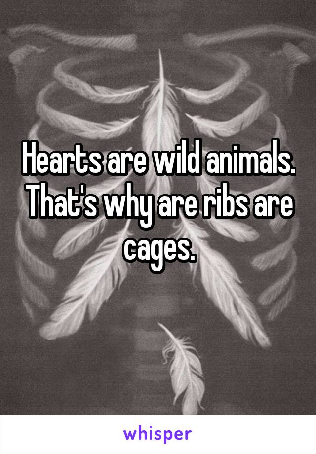 hearts are wild creatures thats why our ribs