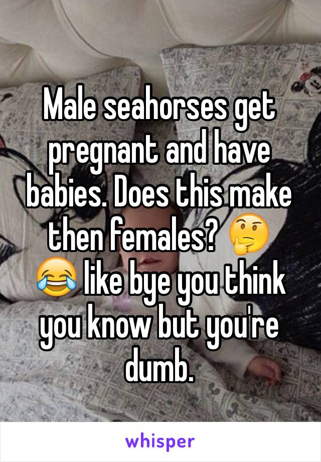 Male seahorses get pregnant and have babies. Does this make then females? 🤔
😂 like bye you think you know but you're dumb. 