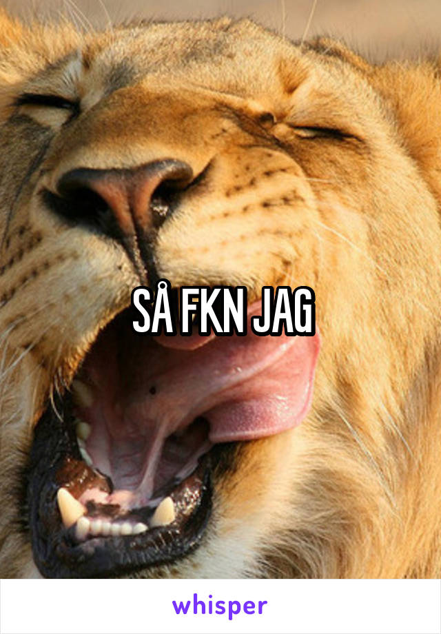 SÅ FKN JAG