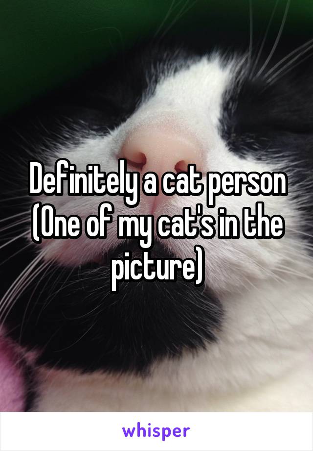 Definitely a cat person
(One of my cat's in the picture)