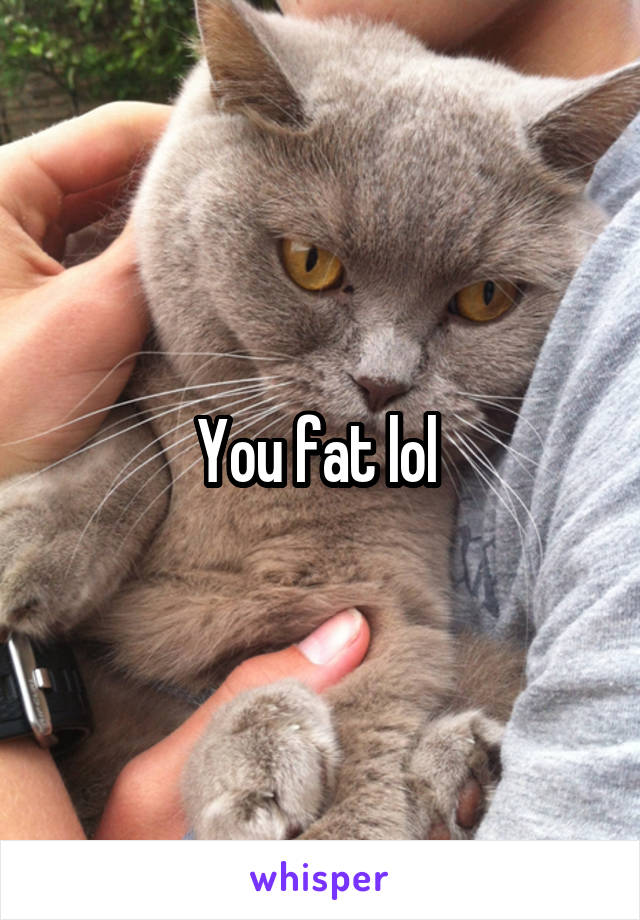 You fat lol 