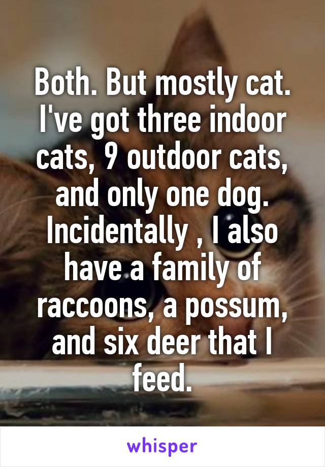 Both. But mostly cat. I've got three indoor cats, 9 outdoor cats, and only one dog.
Incidentally , I also have a family of raccoons, a possum, and six deer that I feed.