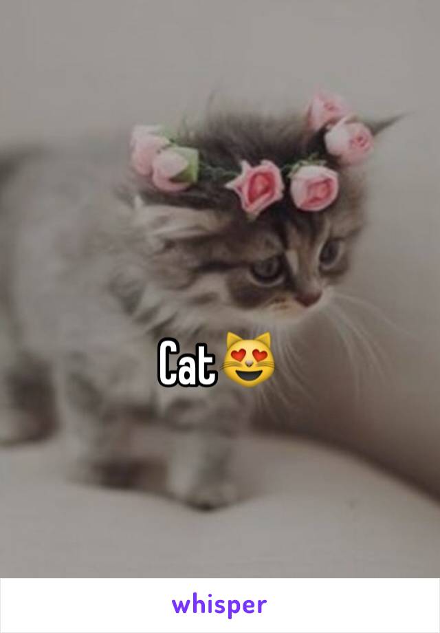 Cat😻