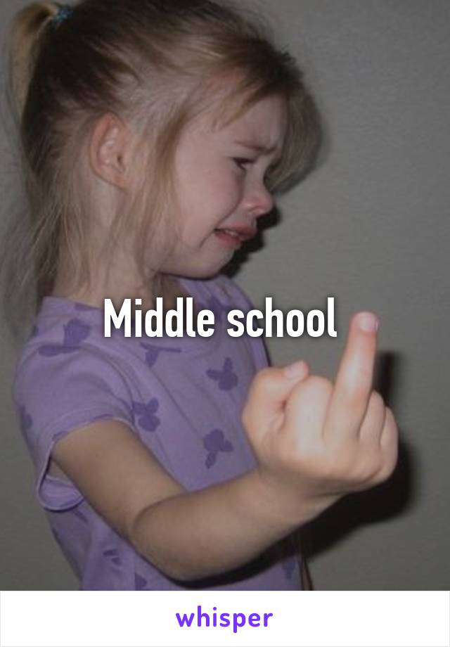 Middle school 