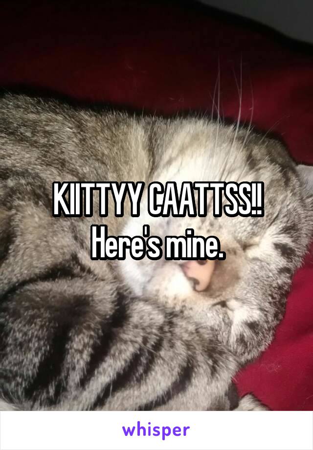 KIITTYY CAATTSS!!
Here's mine.