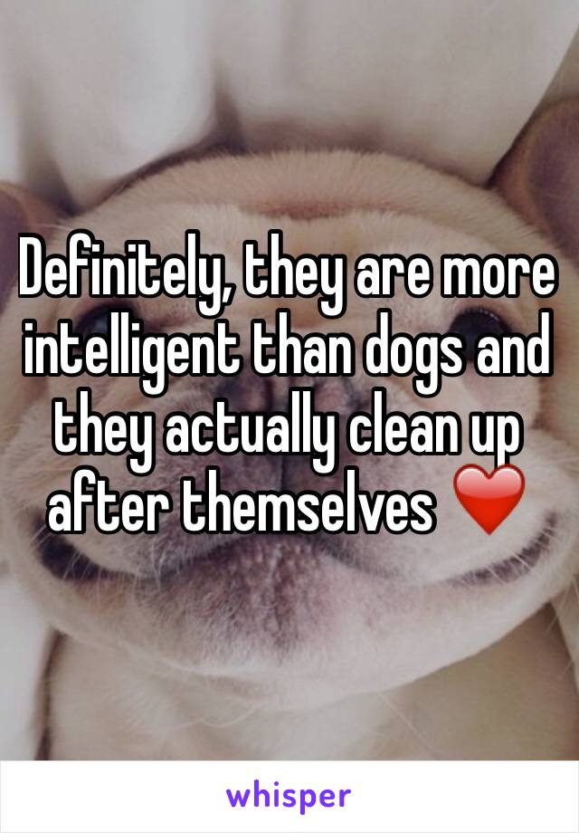 Definitely, they are more intelligent than dogs and they actually clean up after themselves ❤️