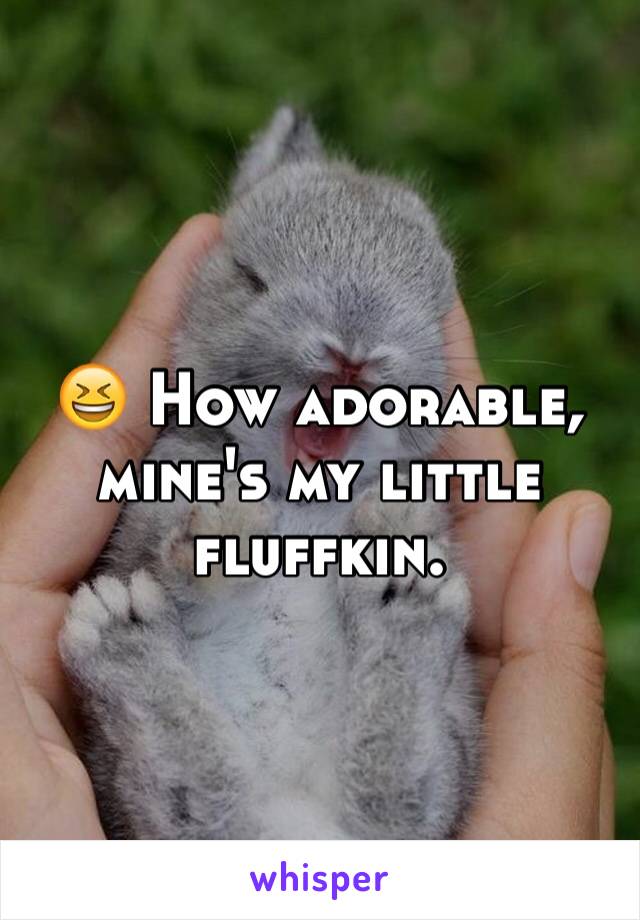 😆 How adorable, mine's my little fluffkin.