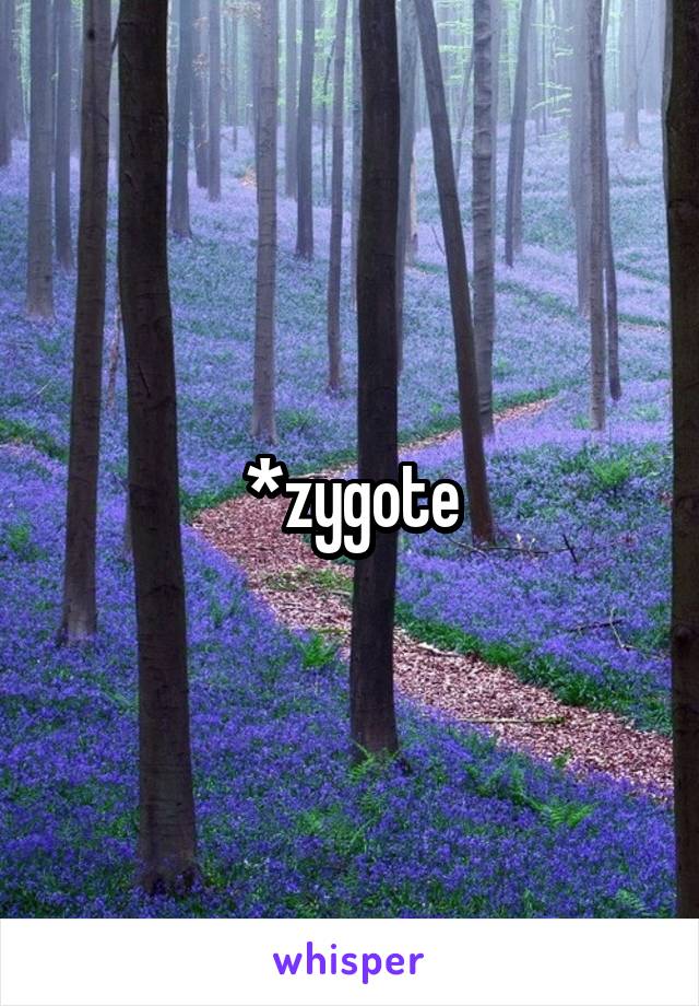 *zygote