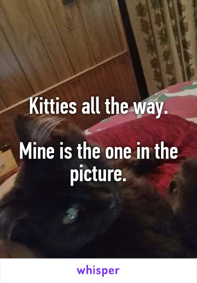 Kitties all the way.

Mine is the one in the picture.