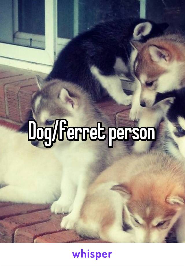 Dog/ferret person 